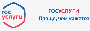 Приставы начали работать через сайт Госуслуг gosuslugi