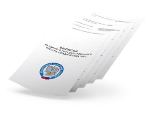 Предоставление сведений из ЕГРЮЛ Выписка из ЕГРЮЛ