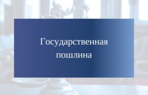 Оплата госпошлины за должника: право или обязанность АУ? Государственная пошлина при подаче заявления в суд РФ